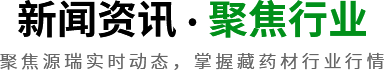 新闻