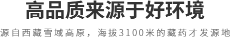 基地